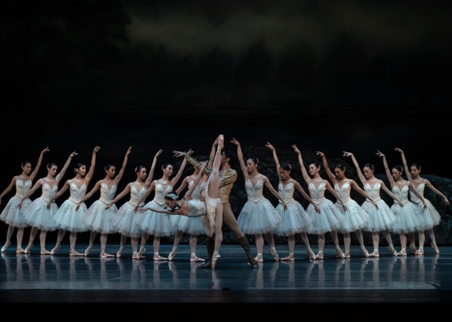 Sexless, Stone Faced Swan Lake